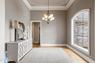 111 Meadow Pointe Cove-1