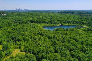 17 Blueview Rd, West Roxbury, MA 02132 - photo 4