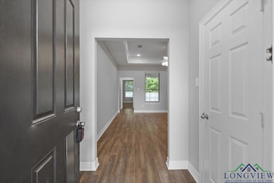 Entryway featuring a raised ceiling, dark wood-type flooring, and a ceiling fan