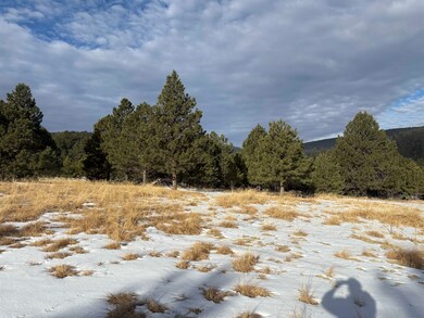 10 Copper Canyon Ct unit 10, Cloudcroft, NM 88317 - photo 3