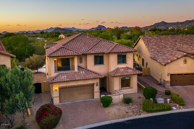 Premium Oversized Lot
