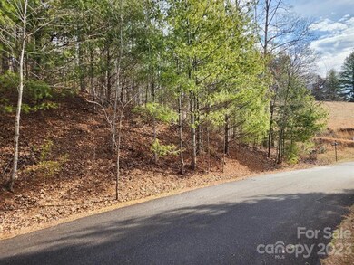 00 Barebridge Dr unit 16, Burnsville, NC 28714 - photo 3