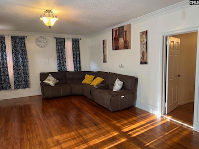 172 S Pine St, Batesburg, SC 29006 - photo 6