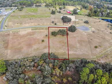 38538 Wooded Meadow Dr, Umatilla, FL 32784 - photo 3