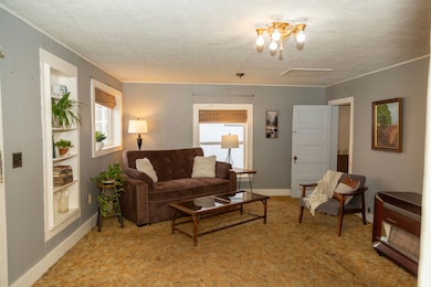 102 E 4th St, Creede, CO 81130 - photo 3