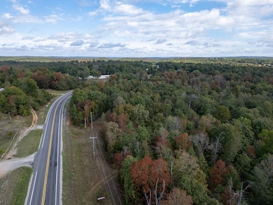 12958 N Highway 63, Hardy, AR 72542 - photo 3