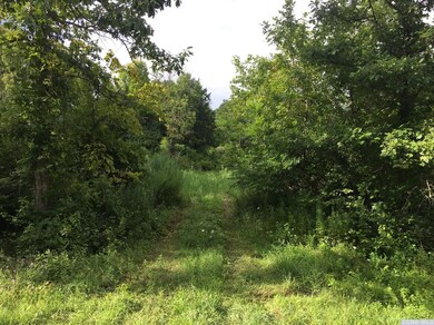 0 Roundtop #4 Rd, Germantown, NY 12526 - photo 6