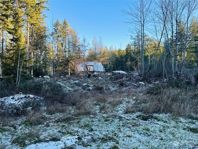 21203 194th Ave E, Orting, WA 98360 - photo 3