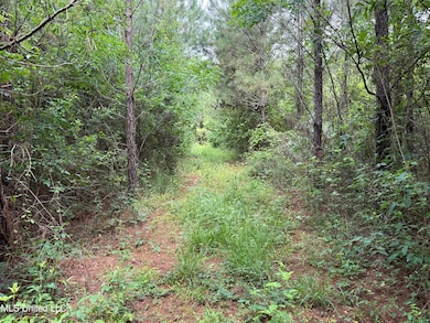 2.