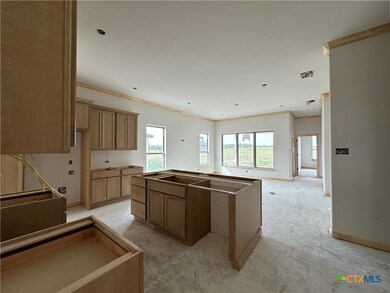 220 Desert Holly Dr, Temple, TX 76502 - photo 4