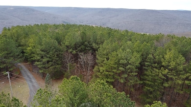 2.3 acre Sunset Rd, Spencer, TN 38585 - photo 3