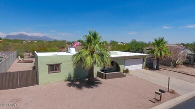 front-palm-tree-917-n-97th-mesa-az