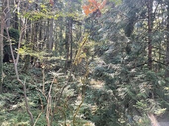 0 Melcher St unit NWM2458297, Port Orchard, WA 98366 - photo 2