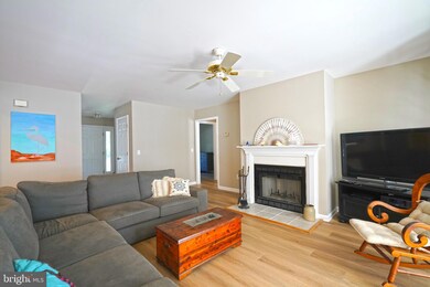 29 Blackpool Rd, Rehoboth Beach, DE 19971 - photo 6