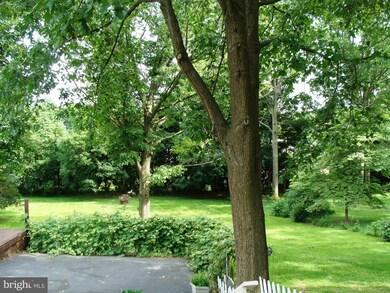 158 W Butler Ave unit THIRD FLOOR BEDROOM, Doylestown, PA 18901 - photo 4