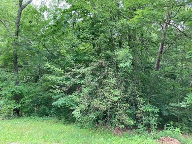 00 John Burch partial clearing in woods