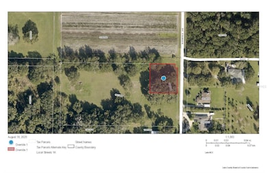 26831 Bloomfield Ave, Yalaha, FL 34797 - photo 7