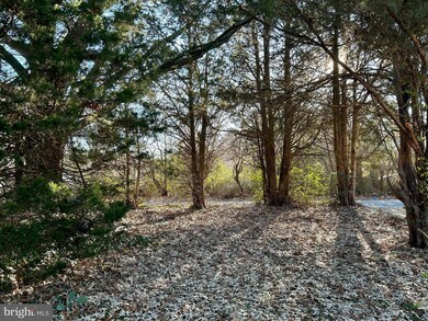 86 Headstart Ln, Dover, DE 19901 - photo 2