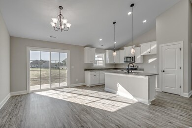 188 Jt Barfield Rd unit Tract D, Conway, SC 29527 - photo 7