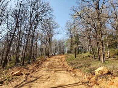 15562 Low Gap Rd, West Fork, AR 72774 - photo 2