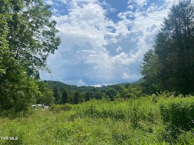 638 Old Highway 143, Roan Mountain, TN 37687 - photo 5