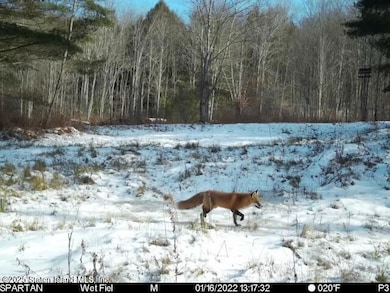 2392 Sands Creek Rd, Hancock, NY 13783 - photo 4