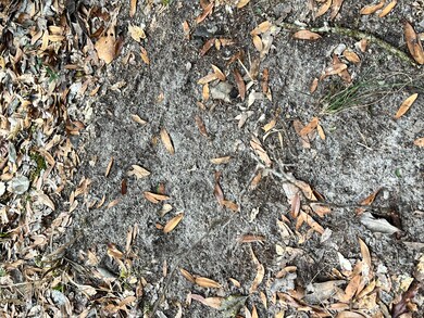 4285 Latham Rd, Crestview, FL 32539 - photo 2