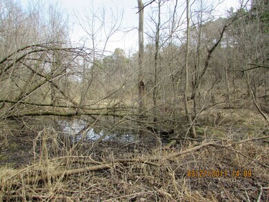 Second Smaller Pond
