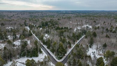 49 chickadee drone-4
