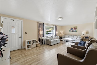 74 W 100 S, Cedar Valley, UT 84013 - photo 5