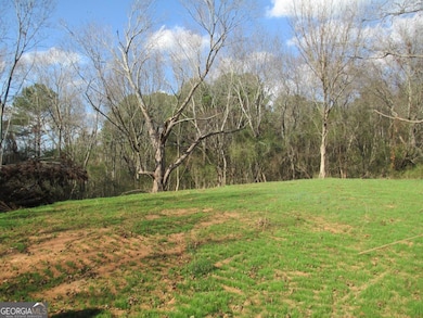 760 Carlton Johnson Rd, Waco, GA 30182 - photo 4