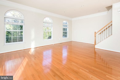 533 Spectator Ave, Hyattsville, MD 20785 - photo 5