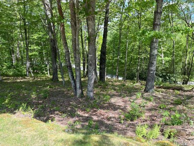 10 Trellis Ln, Cullowhee, NC 28723 - photo 5