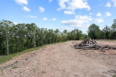 Tbd State Highway Y, Galena, MO 65656 - photo 2