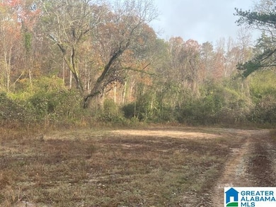 3000 Roberts Mill Pond Rd, Pell City, AL 35125 - photo 6