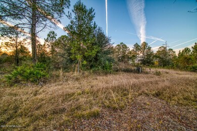 0 Haylie Ln unit 976876, Callahan, FL 32011 - photo 4