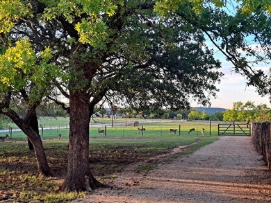 571 Center Point Rd, Fredericksburg, TX 78624 - photo 3