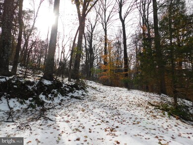 177 Riley Ct, Front Royal, VA 22630 - photo 2