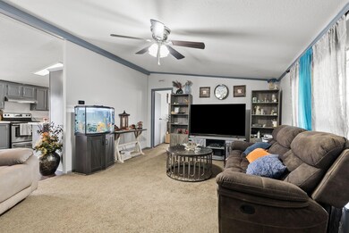 5-web-or-mls-DSC04237