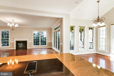 6820 Moly Dr, Falls Church, VA 22046 - photo 7