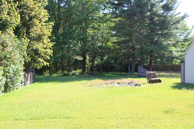 3 Backyard