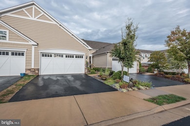 20432 Island Square W, Ashburn, VA 20147 - photo 3