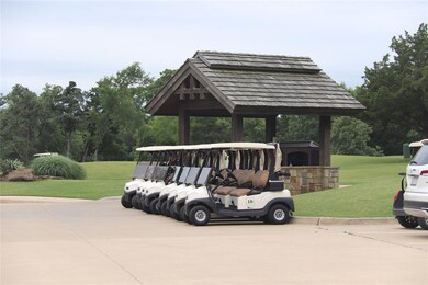 371 Palmilla Dr, Gordonville, TX 76245 - photo 3