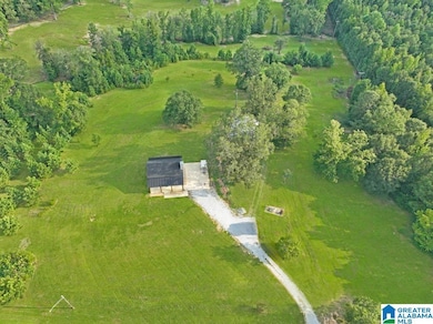 1317 Poplar Springs Rd, Clanton, AL 35046 - photo 4