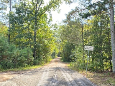 18.62 Ac Squirrell Hollow Rd, Alberta, VA 23821 - photo 5