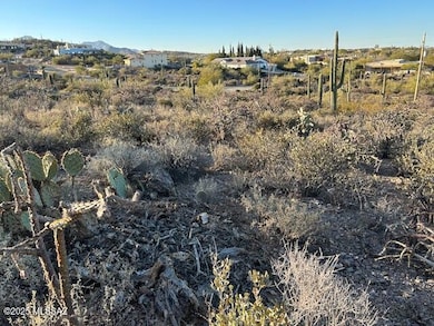 Looking Directly North