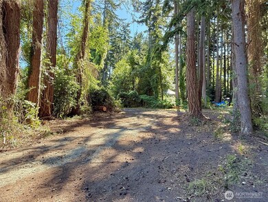 0 Lot 2 Enchanted Forest Rd, Orcas Island, WA 98245 - photo 6