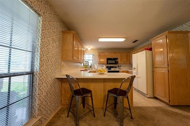 913 Thelma Dr, Granbury, TX 76049 - photo 5