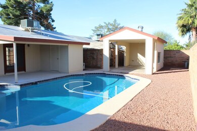 Pool & Cabana