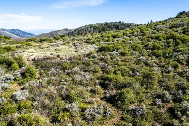 0 Tbd Highway 13 S, Meeker, CO 81641 - photo 6